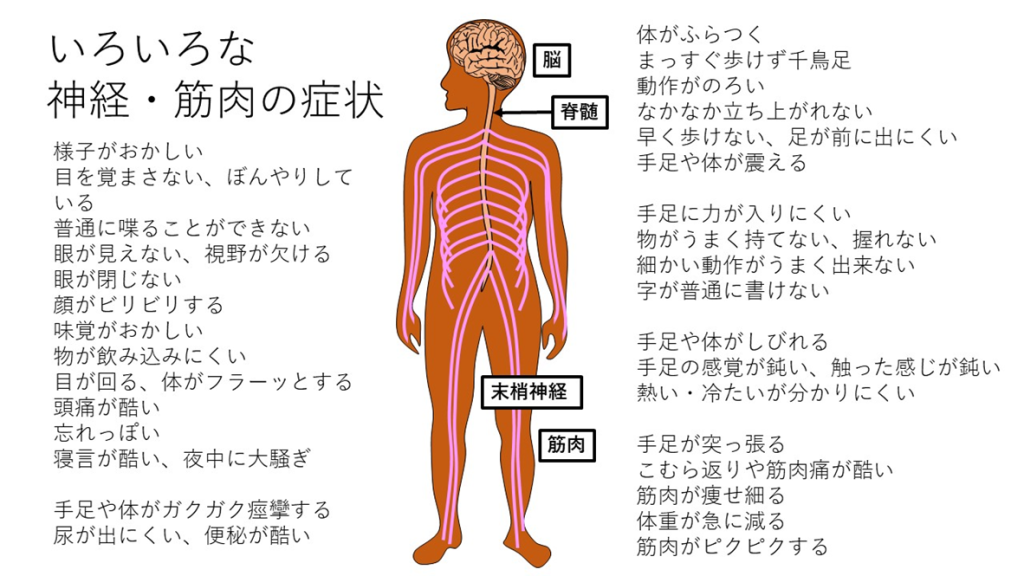 いろいろな神経筋肉症状
